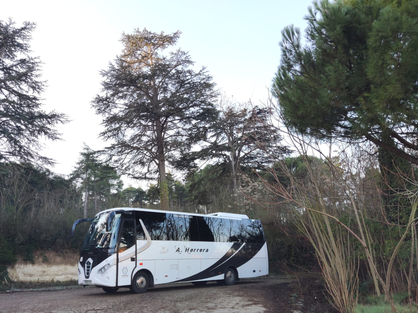 Salida de autobuses hacia La laguna el domingo de San Juan del Monte y bajada con movilidad reducida